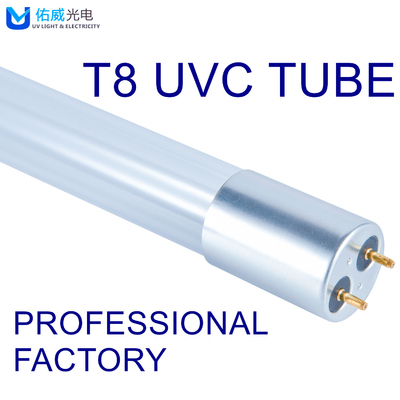 Luz UV UVC da parede da lâmpada 10W da desinfecção do vidro T8 do FCC do CE ROHS