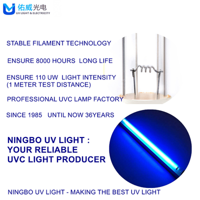Luz UV UVC da parede da lâmpada 10W da desinfecção do vidro T8 do FCC do CE ROHS
